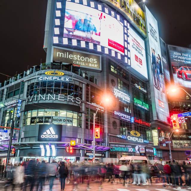 Dundas Square Night